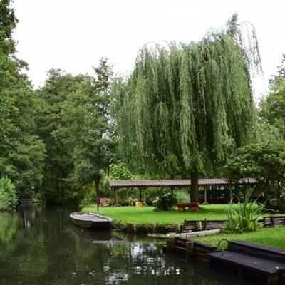 云开手机版app截图