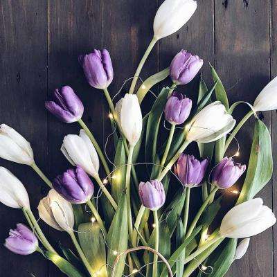 云开手机版app截图